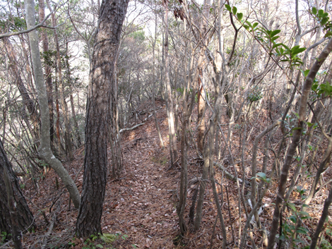 20140103hike (196)